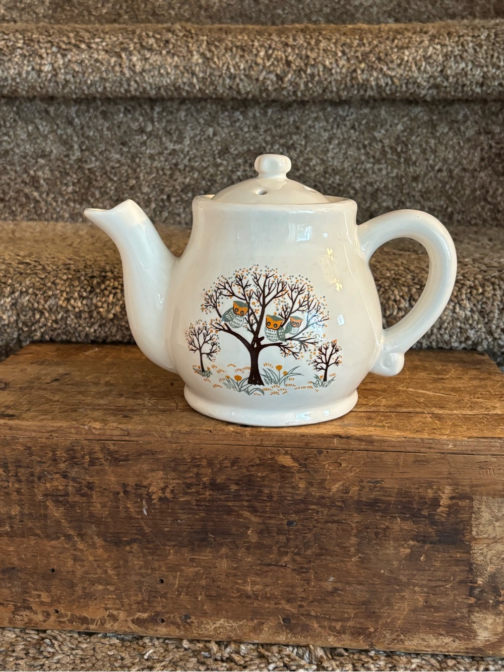 Vintage owl teapot